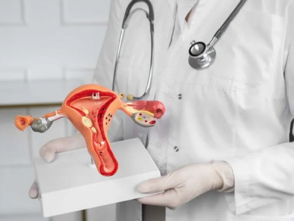 Gynecological & Obstetric Surgeries